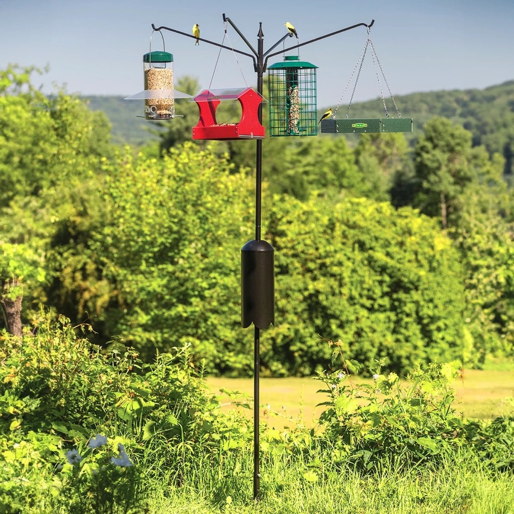 NEW Multi-Feeder Bird Station